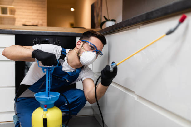 Best Best Pest Control Companies  in Olean, NY