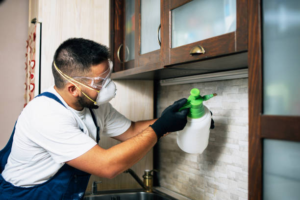 Best Wildlife Control Services  in Olean, NY