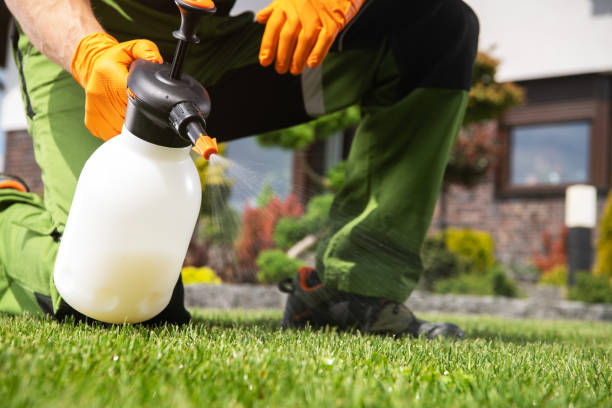 Best Wildlife Control Services  in Olean, NY