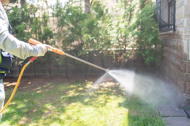 Best Commercial Pest Control Services  in Olean, NY