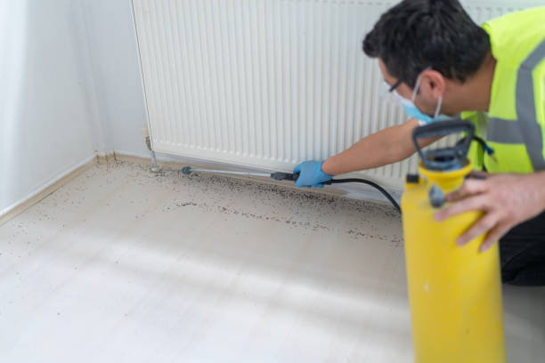 Best Pest Removal Services  in Olean, NY
